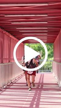 BIB:  <button type="button" onclick="openModal(27309569)" class="btn btn-primary btn-sm float-right" data-toggle="modal" data-target=".modal-high-quality">
                <i class="fa fa-download"></i> Download
                </button>